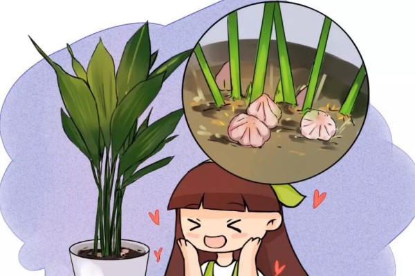 平时丑到没人看的花,一开花就惊艳,全小区都来围观! 平时丑到没人看的花,一开花就惊艳,全小区都来围观!