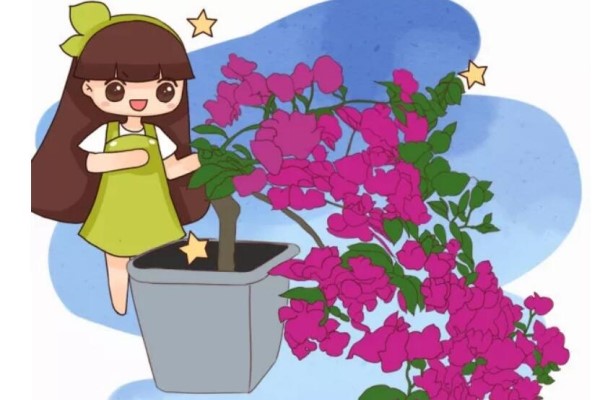 家里有这花,露养断水2个月,安全越冬50盆! 家里有这花,露养断水2个月,安全越冬50盆!