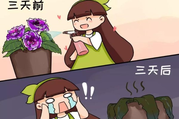 这花千万别喷水, 一喷叶子就发黄,3天掉成光杆! 这花千万别喷水, 一喷叶子就发黄,3天掉成光杆!