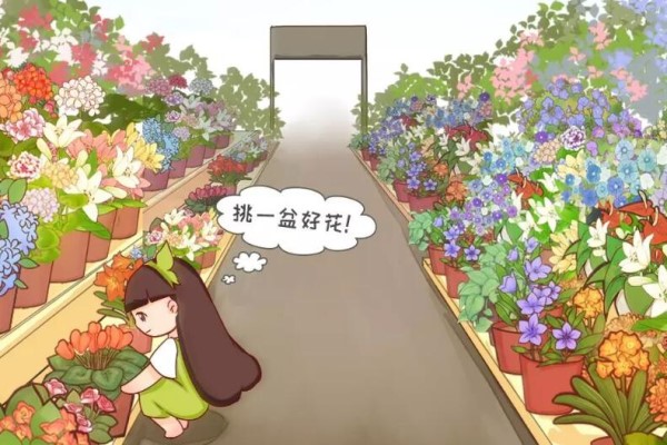 花市里猫腻多,碰见这种花,千万别买,养不活浪费钱! 花市里猫腻多,碰见这种花,千万别买,养不活浪费钱!