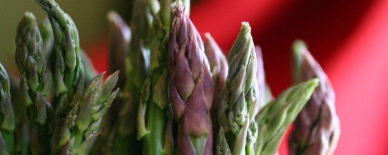 芦笋是什么季节的蔬菜 芦笋是什么季节的蔬菜