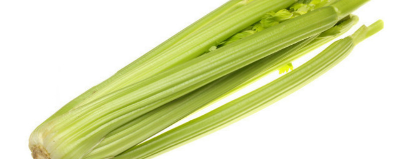 芹菜是什么季节的蔬菜 芹菜是什么季节的蔬菜