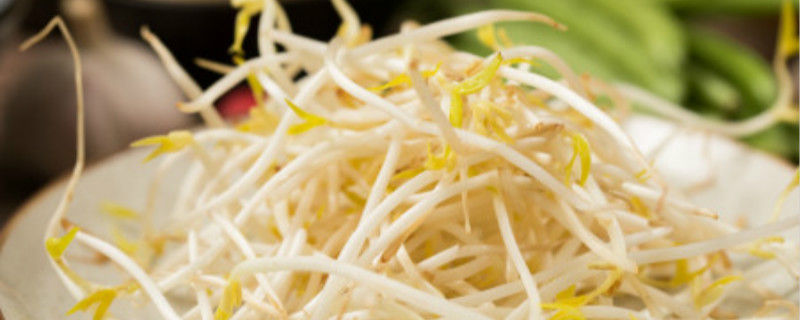 黄豆芽是什么季节的蔬菜 黄豆芽是什么季节的蔬菜