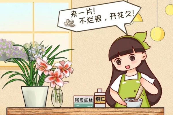 小药片磨成粉,兑水一浇,叶子油亮花开爆! 小药片磨成粉,兑水一浇,叶子油亮花开爆!