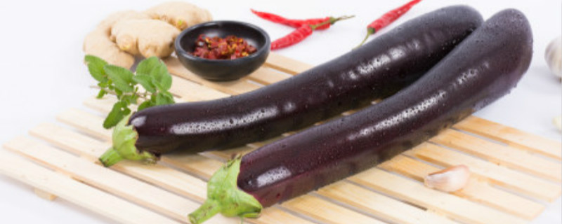 茄子是什么季节的蔬菜 茄子是什么季节的蔬菜