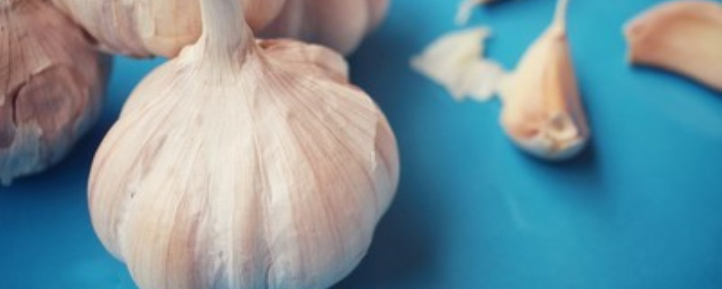 大蒜是什么季节的蔬菜 大蒜是什么季节的蔬菜