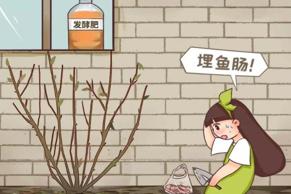 现在不做这件事,明年开花没指望,还要费大钱! 现在不做这件事,明年开花没指望,还要费大钱!