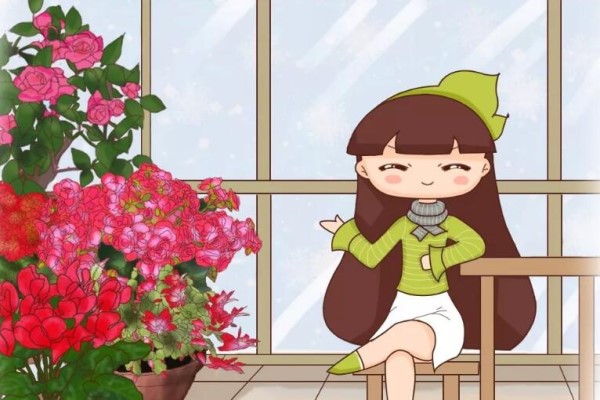 家里有这6种花,天越冷开得越旺,比绿萝还好养! 家里有这6种花,天越冷开得越旺,比绿萝还好养!