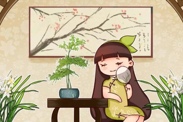 有内涵的人,都爱养这花,时尚有格调,大气上档次! 有内涵的人,都爱养这花,时尚有格调,大气上档次!