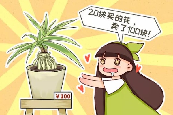 这4种花,把根拎出来养一年,身价立马翻倍涨! 这4种花,把根拎出来养一年,身价立马翻倍涨!