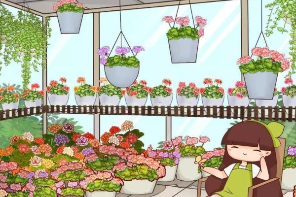 12月扦插这种花,成活率超高,大白根呼呼冒! 12月扦插这种花,成活率超高,大白根呼呼冒!