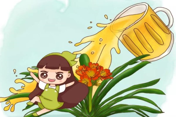 给花浇点救命水,3天黄叶变绿叶,呼呼开出满盆花! 给花浇点救命水,3天黄叶变绿叶,呼呼开出满盆花!