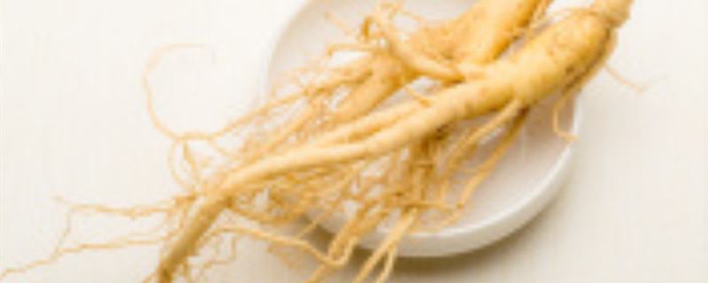 兰舌木人参别名 兰舌木人参别名