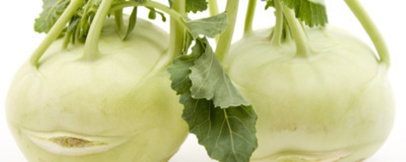 大头菜学名叫什么