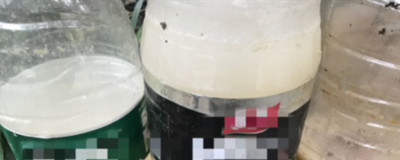 淘米水自制多肉肥 淘米水自制多肉肥