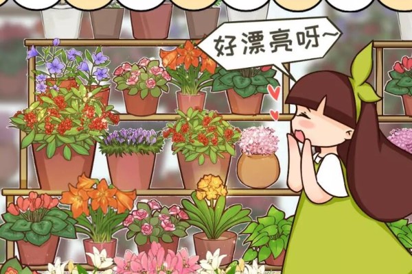 10种“稀罕花”,连名字都认不全,竟然拼命掏钱买! 10种“稀罕花”,连名字都认不全,竟然拼命掏钱买!