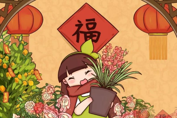 这花要慎买,小心养不活,心里贼难受! 这花要慎买,小心养不活,心里贼难受!