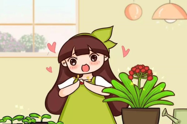 这花结出红果子,摘几个丢土里,收获100盆花! 这花结出红果子,摘几个丢土里,收获100盆花!
