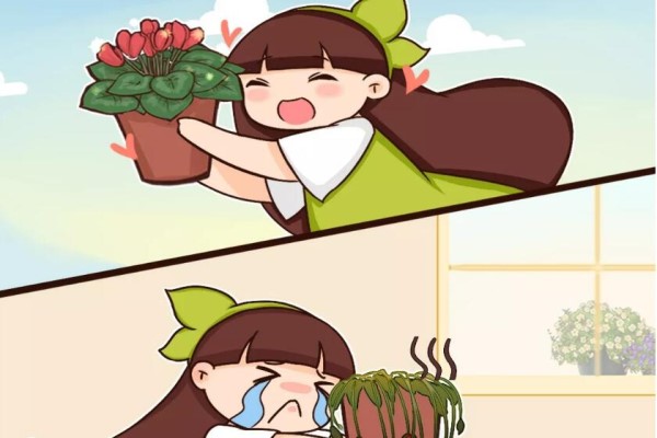 这么漂亮的花,从来没养活过,我恨! 这么漂亮的花,从来没养活过,我恨!