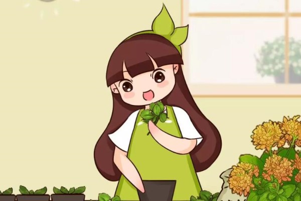 春天扦插最好活,掐根枝,捂3天,嗖嗖冒白根! 春天扦插最好活,掐根枝,捂3天,嗖嗖冒白根!