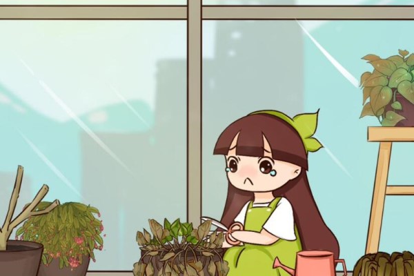 假期延长20天,家里的花死一片,狠心剪剪还有救! 假期延长20天,家里的花死一片,狠心剪剪还有救!