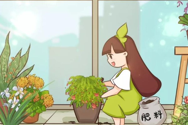 10种花,现在快施肥,不然今年没花看! 10种花,现在快施肥,不然今年没花看!