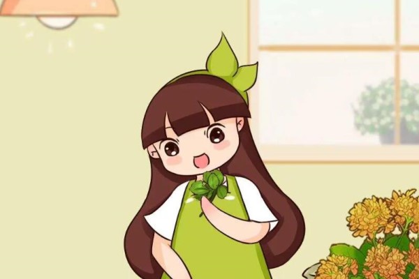 这花不用扦插,叶子摘下来,7天就冒大白根! 这花不用扦插,叶子摘下来,7天就冒大白根!