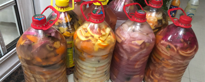 淘米水怎么发酵成花肥,可以浇哪些植物 淘米水怎么发酵成花肥,可以浇哪些植物