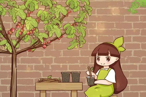 大粗杆插土里,7天生根,当年结果压弯枝,再也不买水果了! 大粗杆插土里,7天生根,当年结果压弯枝,再也不买水果了!