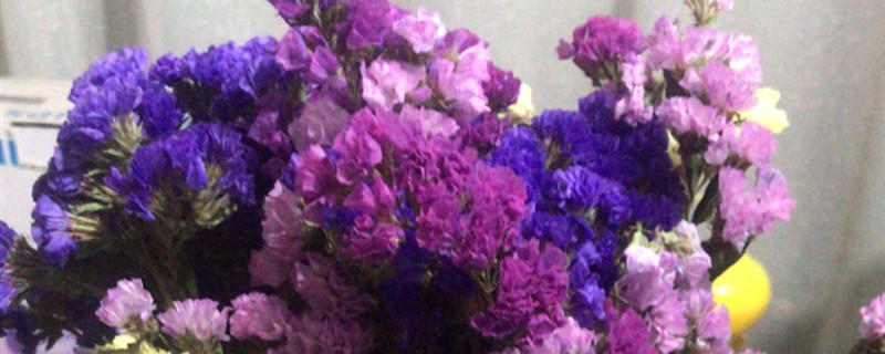 勿忘我需要醒花吗 勿忘我需要醒花吗