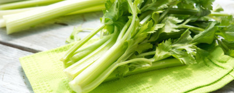 芹菜的寓意 芹菜的寓意