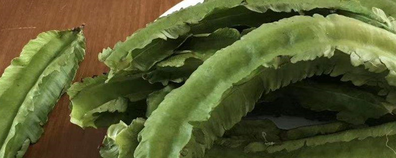 四棱豆种子发芽方法 四棱豆种子发芽方法