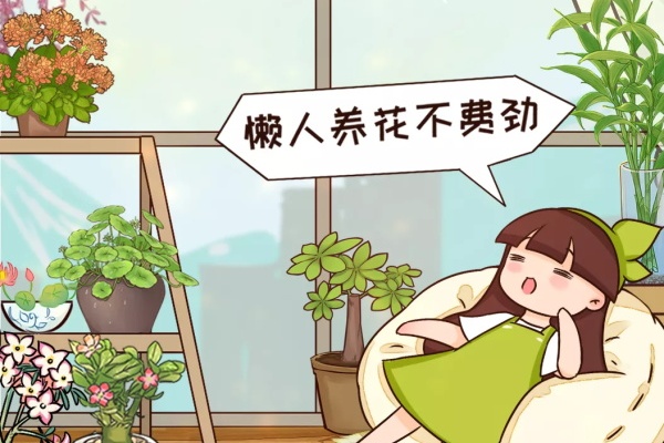 折腾不死的25种花,咋养都爆盆,家里必须养! 折腾不死的25种花,咋养都爆盆,家里必须养!