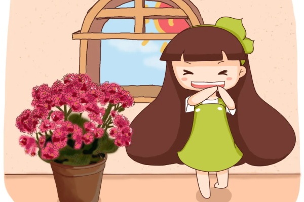 长寿花的养殖方法,剪的越猛,开的越旺! 长寿花的养殖方法,剪的越猛,开的越旺!