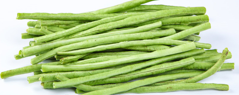 豇豆种子几天发芽 豇豆种子几天发芽
