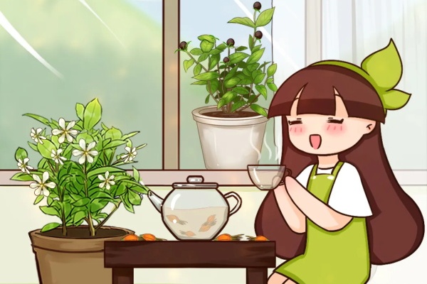 7种花是潜力股,开完不要剪,结种子能卖钱! 7种花是潜力股,开完不要剪,结种子能卖钱!