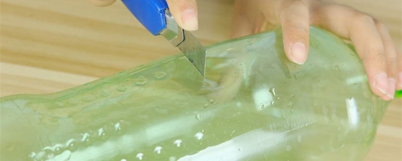 如何用矿泉水瓶种香菜 如何用矿泉水瓶种香菜
