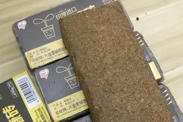 一块“砖”丢水里,体积大了10倍,养花保水又透气! 一块“砖”丢水里,体积大了10倍,养花保水又透气!
