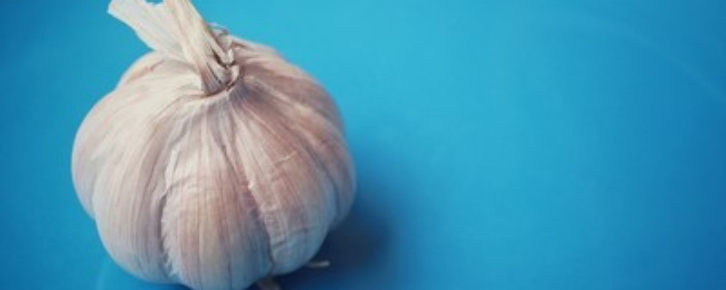 大蒜什么时候拔蒜苔 大蒜什么时候拔蒜苔