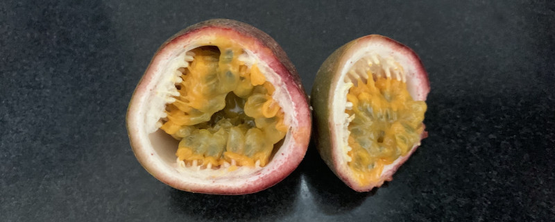 百香果开花后闭合了 百香果开花后闭合了
