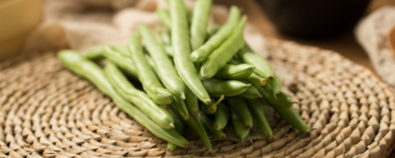 四季豆怎么剪枝 四季豆怎么剪枝