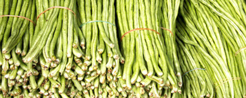 豆角属于豆类吗 豆角属于豆类吗
