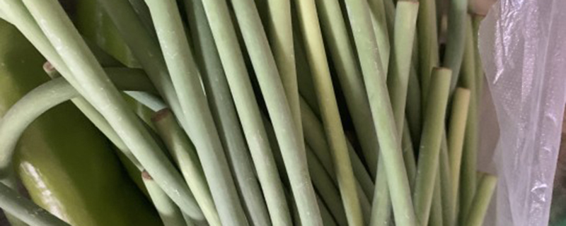 蒜苔和蒜苗是同一种吗 蒜苔和蒜苗是同一种吗