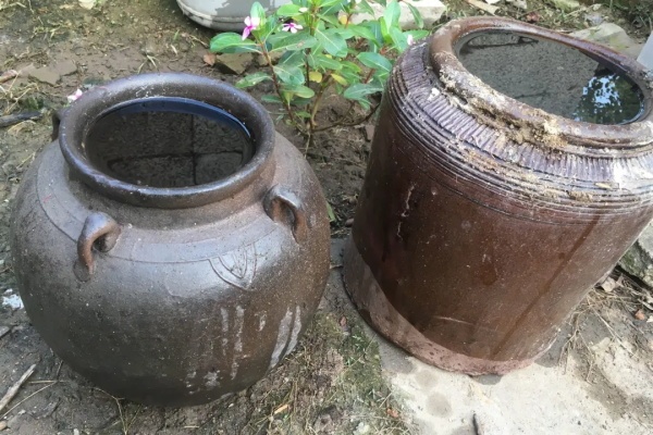 腌咸菜的坛子钻个孔,养花变成巨无霸,再也不买花盆了! 腌咸菜的坛子钻个孔,养花变成巨无霸,再也不买花盆了!
