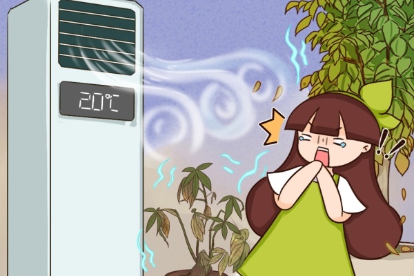 夏天养花,这个地方千万别摆,否则3天死翘翘! 夏天养花,这个地方千万别摆,否则3天死翘翘!