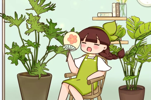 最干净的10种花,耐阴、不招虫,放屋里超凉快! 最干净的10种花,耐阴、不招虫,放屋里超凉快!