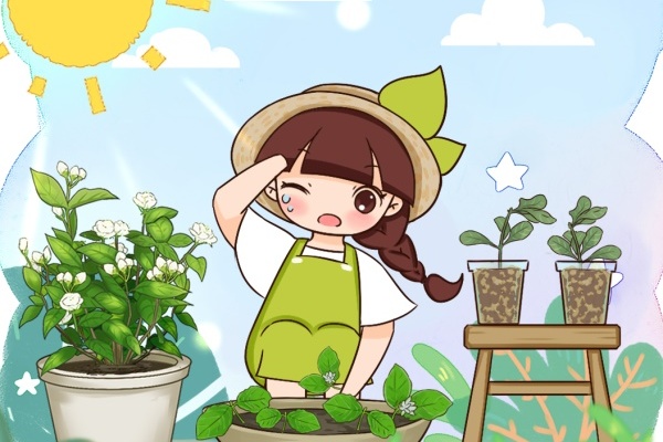 10种花,越热越扦插,大白根疯长! 10种花,越热越扦插,大白根疯长!