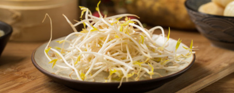 怎样生黄豆芽又粗又长 怎样生黄豆芽又粗又长