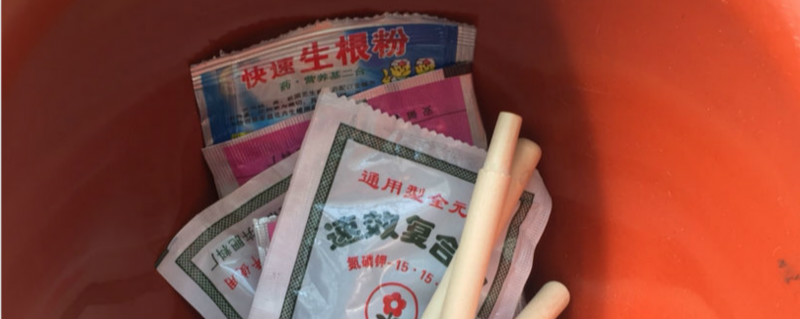 多肉泡生根粉后还需要晾根吗 多肉泡生根粉后还需要晾根吗