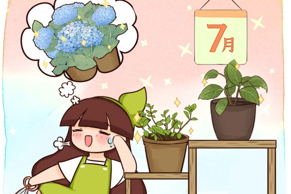 11种花,7月必须剪,剪晚了不开花! 11种花,7月必须剪,剪晚了不开花!